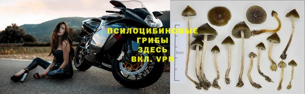 экстази Кулебаки