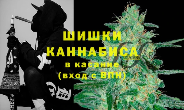 МДПВ Кукмор