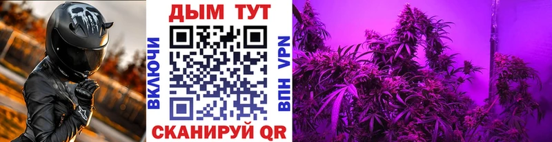 Конопля OG Kush Миньяр